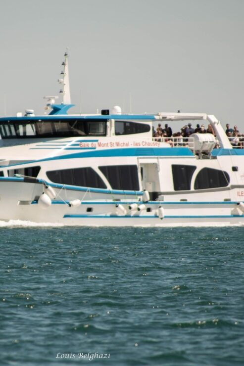 Granville: Boat Trip in the Bay of Mont St Michel - Experience Highlights