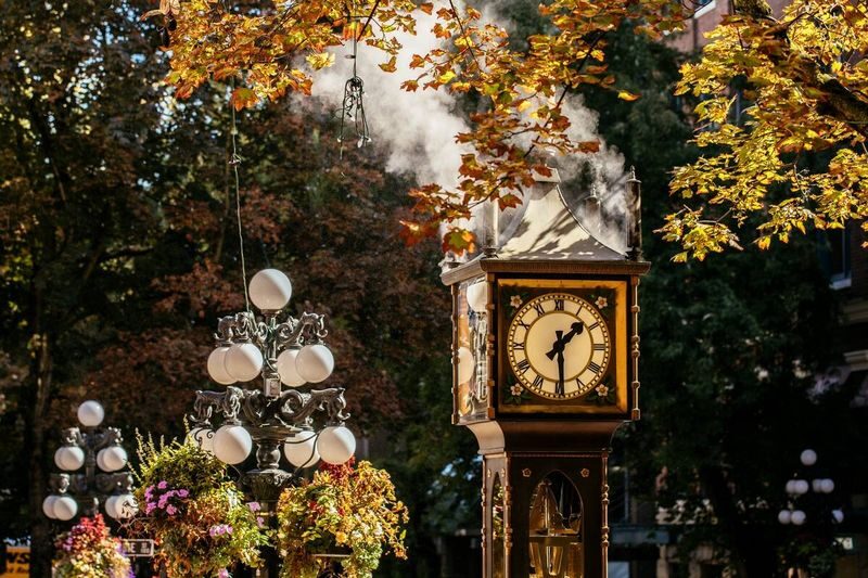 Granville Island and Stanley Park Day Tour in Vancouver - Vancouver Lookout or FlyOver Canada: a flexible stop