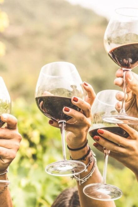 Grape Escapes Full-Day Wine Tour in Ithaca - Full Description