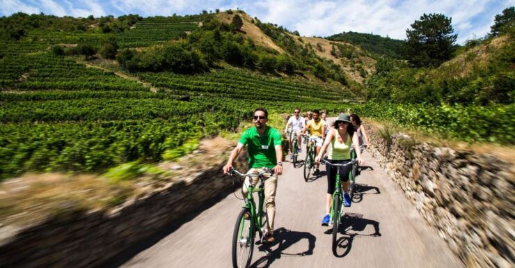 Grape Grazing: Wachau Valley Winery Biking Tour - Tour Details