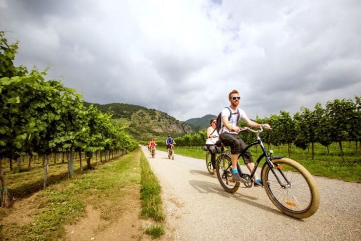 Grape Grazing: Wachau Valley Winery Biking Tour - Tour Experience