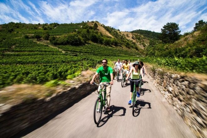 Grape Grazing: Wachau Valley Winery Biking Tour - Tour Description
