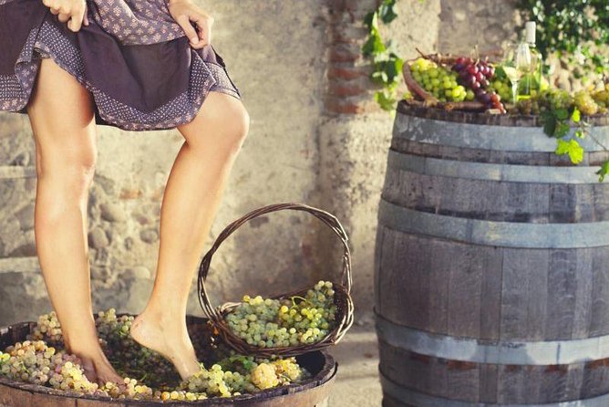 Grape Stomping in Tuscan Farmhouse - Experience Details