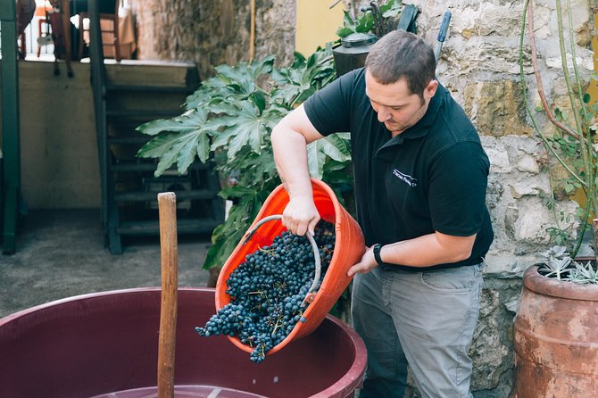 Grape Stomping in Tuscan Farmhouse - Inclusions and Pricing