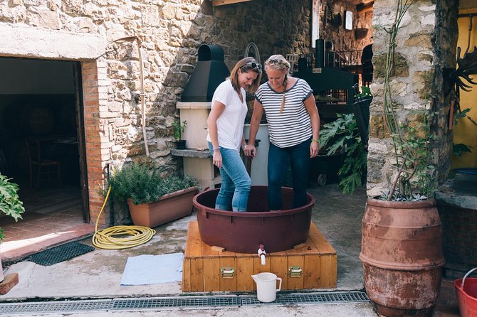 Grape Stomping in Tuscan Farmhouse - Reviews and Testimonials