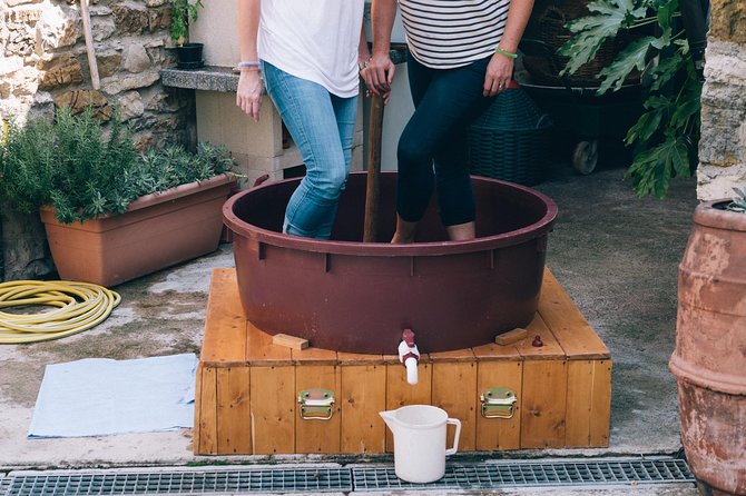 Grape Stomping in Tuscan Farmhouse - Weather and Accessibility