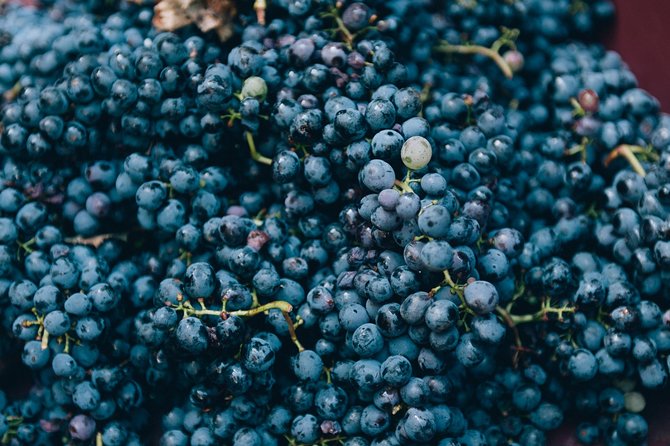 Grape Stomping in Tuscan Farmhouse - Frequently Asked Questions