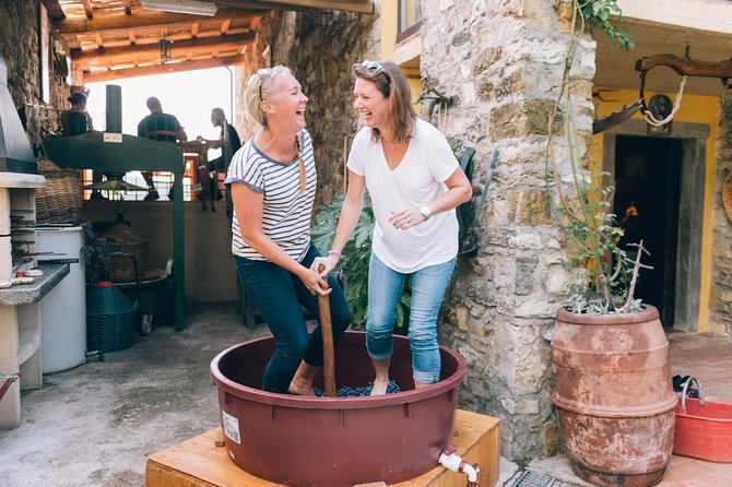 Grape Stomping in Tuscan Farmhouse From Siena - Experience Details