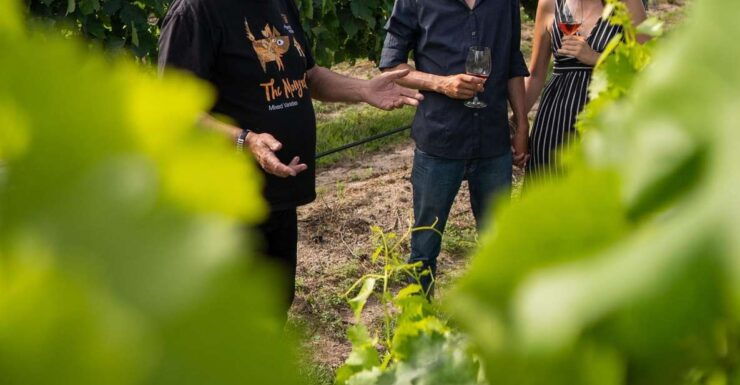 Grape to Glass Master Class - Experience Highlights