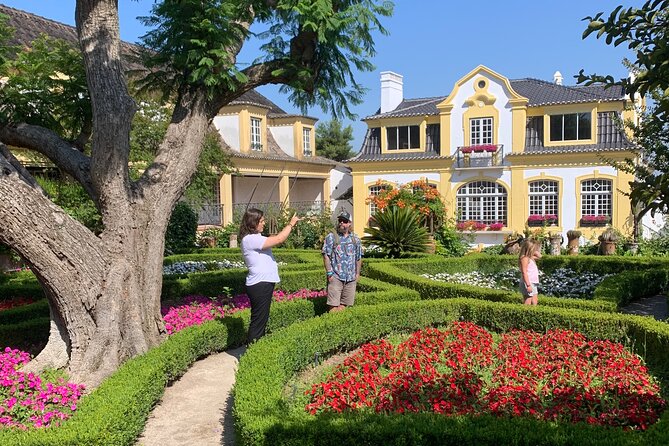 Grapes & Vines & Vineyards: Azeitao'S Half-Day Wine Tasting Tour - Wine Tasting Experience