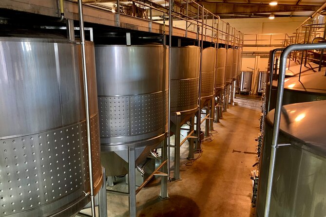 Grapes & Vines & Vineyards: Azeitao'S Half-Day Wine Tasting Tour - Scenic Views