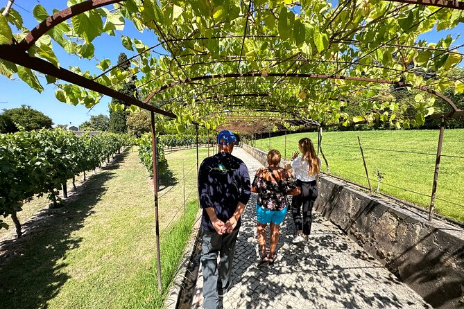 Grapes & Vines & Vineyards: Azeitao'S Half-Day Wine Tasting Tour - Transportation Details