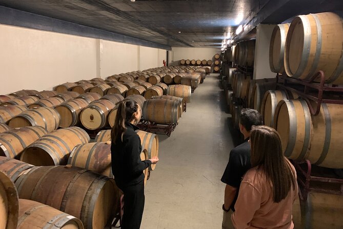 Grapes & Vines & Vineyards: Azeitao'S Half-Day Wine Tasting Tour - Customer Reviews
