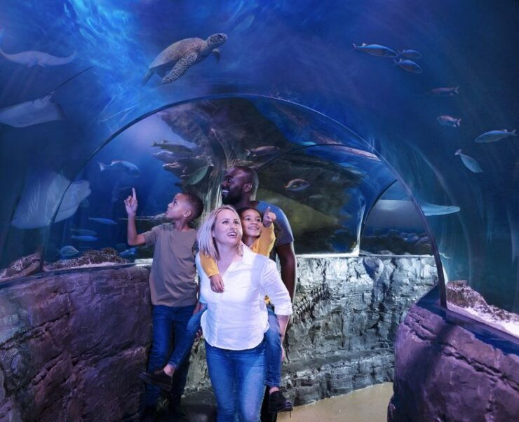Grapevine: SEA LIFE Grapevine Aquarium General Admission - Experience Highlights