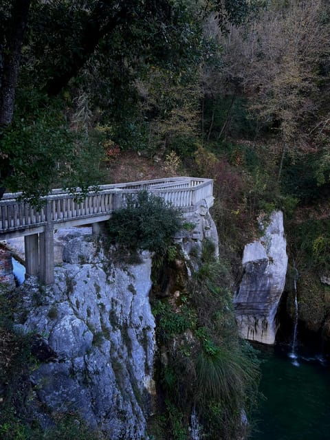 Grasse, Gourdon and Local Wine Tasting - Scenic Views and Local Shops in Gourdon
