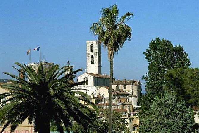 Grasse, Gourdon, Valbonne and Wine Tasting Full-Day From Cannes - Pricing and Reviews