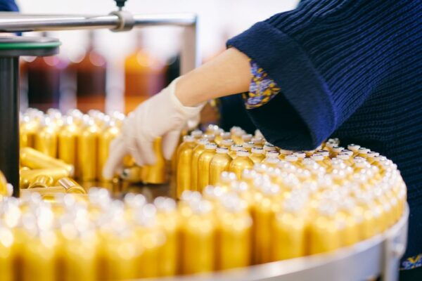 Grasse: Perfume Making Class and Fragonard Factory Tour - Exploring Perfume Making Stages