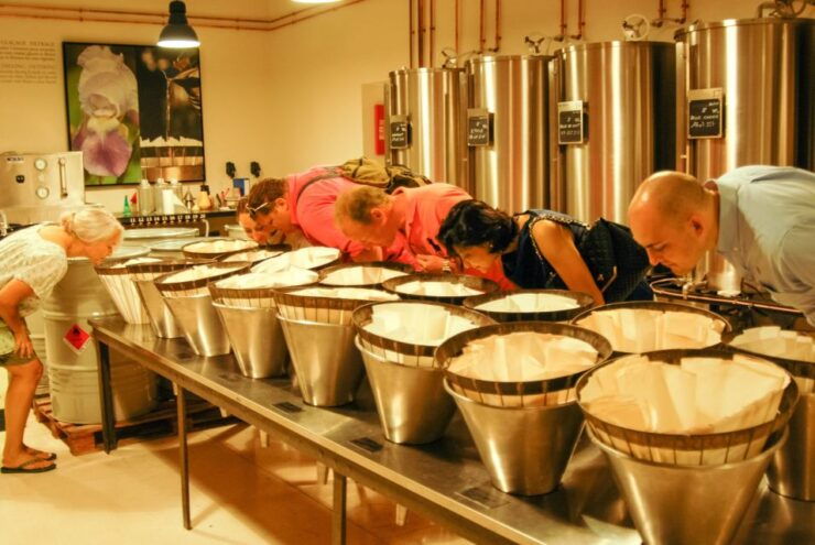 Grasse, Valbonne & Gourdon: Day Tour With Wine Tasting - Activity Details