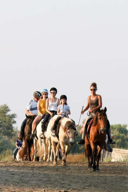Grau Du Roi: Horseback Riding in the Camargue - Experience Highlights