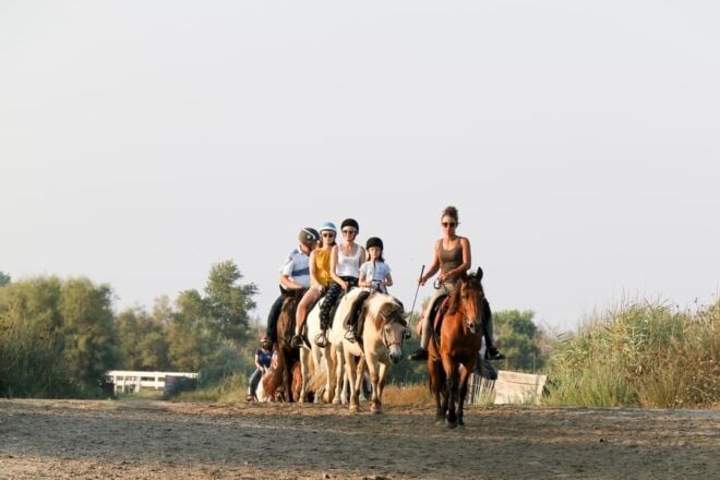 Grau Du Roi: Horseback Riding in the Camargue - Important Information