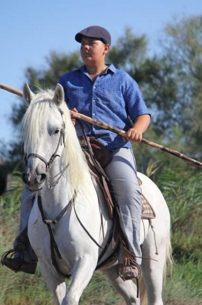Grau Du Roi: Horseback Riding in the Camargue - Booking Your Adventure