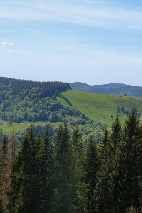 Gravel 3 Days-Trip in the French Vosges - Key Points
