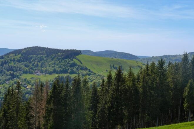 Gravel 3 Days-Trip in the French Vosges - Cultural and Historical Sites