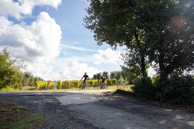 Gravel Bolgherese Tour - The Sum Up