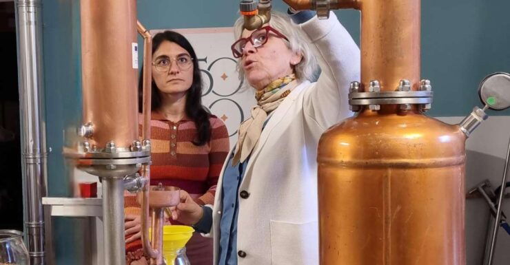Gravina in Puglia: Distill and Taste the Apulian Gin - Good To Know