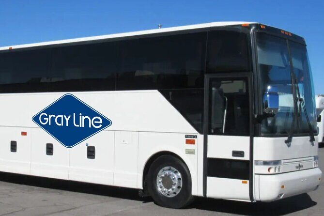 Gray Line NY Sightseeing Flex Pass to MoMA and 120+ options - Final Thoughts: Why Choose the Gray Line NY Sightseeing Flex Pass?