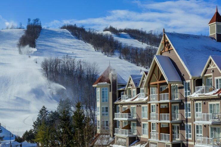 Gray Line Toronto: Blue Mountains Ski Shuttle From Toronto - Shuttle Service Details