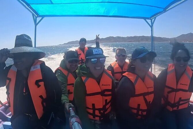 Gray Whale Tour Private Group from La Paz Limited to 8 - FAQ