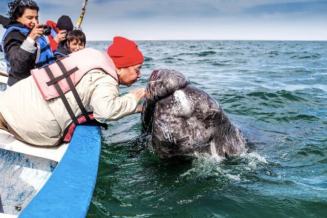 Gray Whale Watching Expedition at Magdalena Bay - The Experience in Action: What Travelers Say