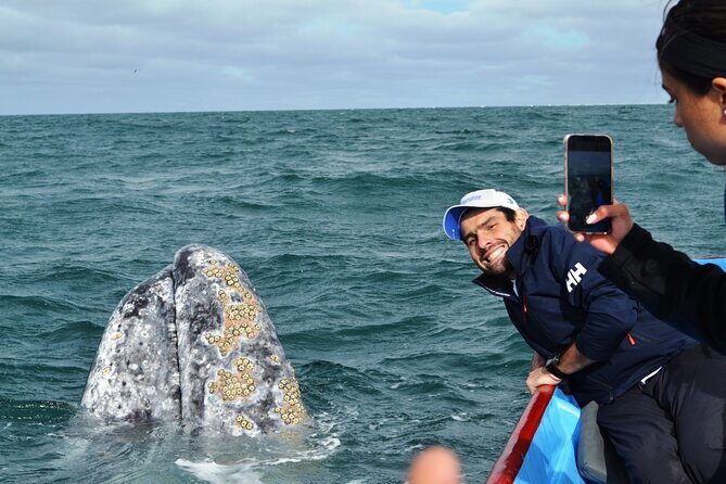 Gray Whale Watching in Bahia Magdalena - An In-Depth Look at the Gray Whale Watching Tour in Bahia Magdalena