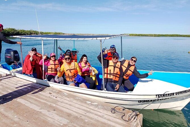 Gray Whale watching in Magdalena Bay From Los Cabos - An In-Depth Look at the Whale Watching Tour