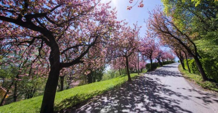 Graz: Insta-Perfect Walk With a Local - Iconic Landmarks and Scenery