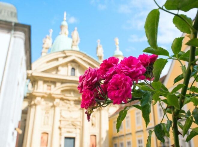 Graz: Top Churches Private Walking Tour With Guide - Inclusions