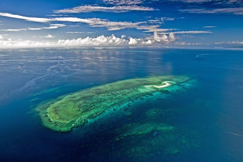 Great Barrier Reef Adventure Day Tour - The four-hour schedule, from check-in to return