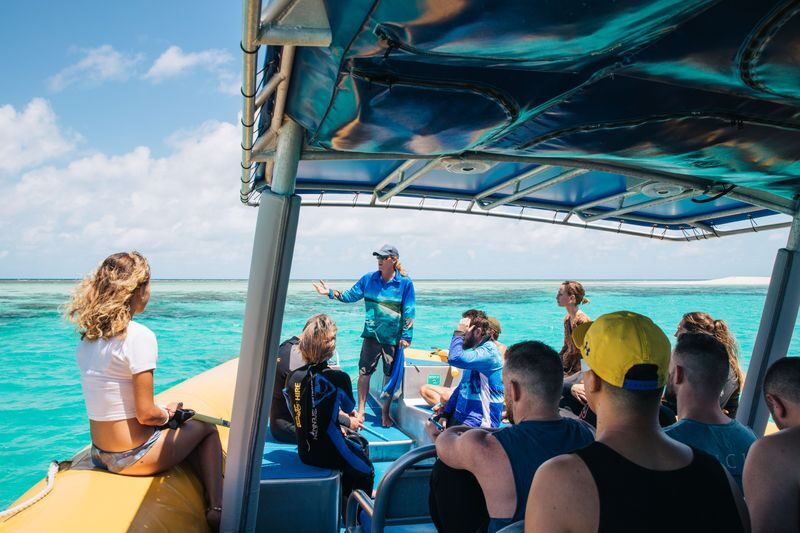 Great Barrier Reef Adventure Day Tour - Is the price fair for a half-day trip?