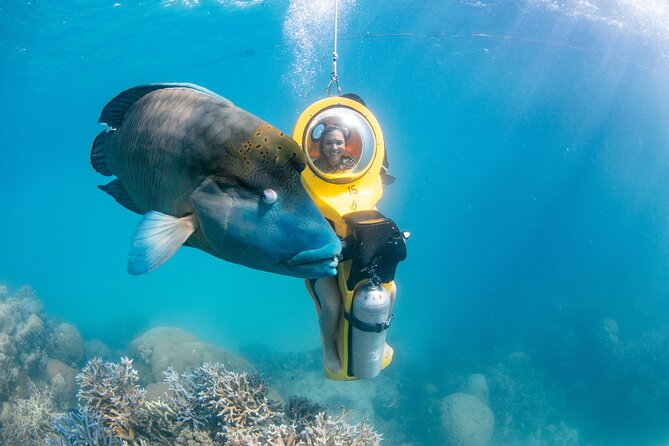 Great Barrier Reef Adventure From Cairns Inc Snorkel From Activity Platform - Overview and Logistics