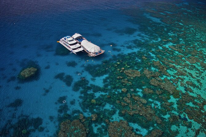 Great Barrier Reef Adventure From Cairns Inc Snorkel From Activity Platform - Check-in and Departure Information