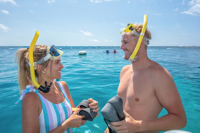 Great Barrier Reef Adventure From Cairns Inc Snorkel From Activity Platform - Snorkeling Experience