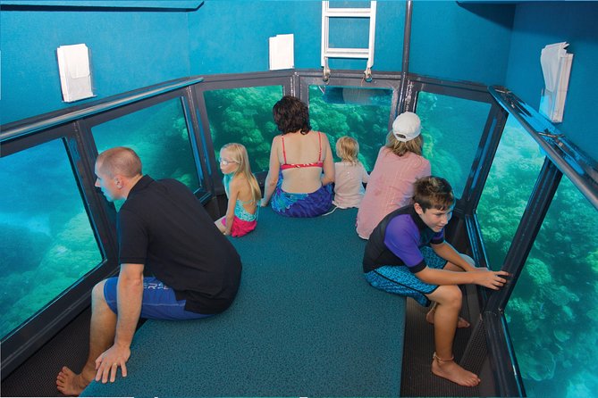 Great Barrier Reef Adventure From Cairns Inc Snorkel From Activity Platform - Boat Ride and Other Activities