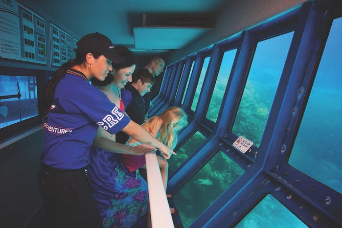 Great Barrier Reef Adventure From Cairns Inc Snorkel From Activity Platform - Feedback and Recommendations