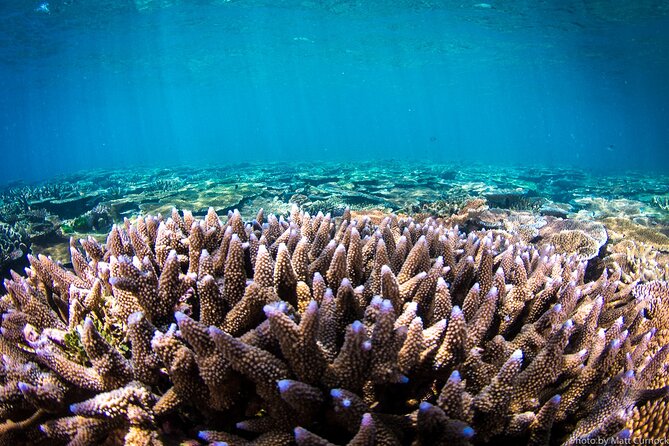 Great Barrier Reef and MOUA Cruise From Townsville or Magnetic Island - Directions