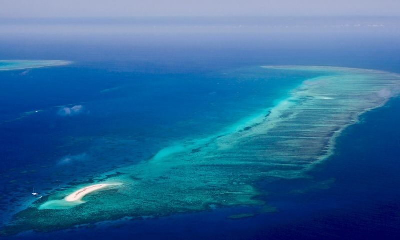 Great Barrier Reef Classic Scenic Flight from Cairns - Seeing the reef as a pattern, not a beach