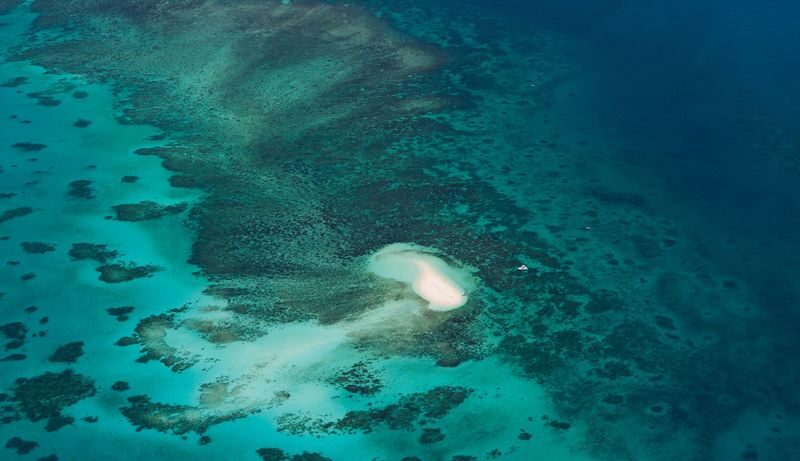 Great Barrier Reef Classic Scenic Flight from Cairns - Arlington Reef and Upolu Reef from above