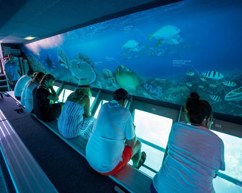 Great Barrier Reef Cruise from Airlie Beach or Daydream Island - Four hours at the pontoon