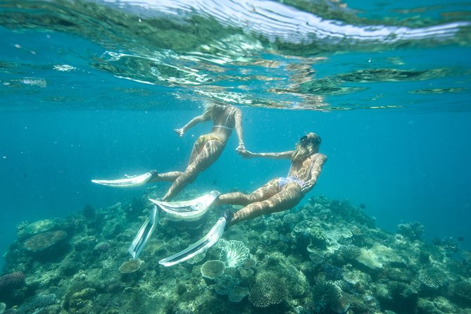 Great Barrier Reef Cruise From Townsville or Magnetic Island - Tour Overview