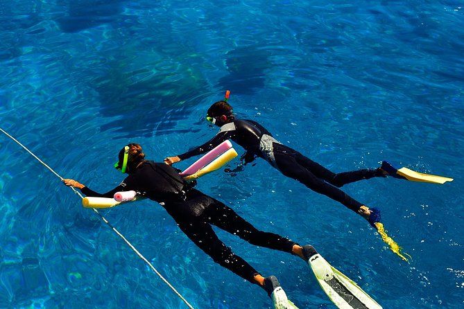 Great Barrier Reef Cruise From Townsville or Magnetic Island - Common Questions